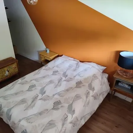 Belle Maison Renovee Avec Piscine Le Barp